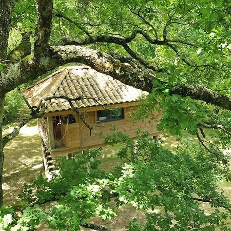 Les Grands Bois Et Thezac (Charente-Maritime)